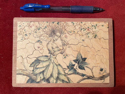 Whimsical Collection