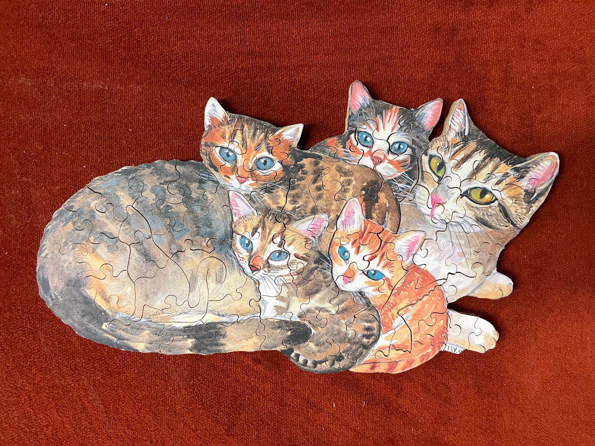 Kittens with their mom
