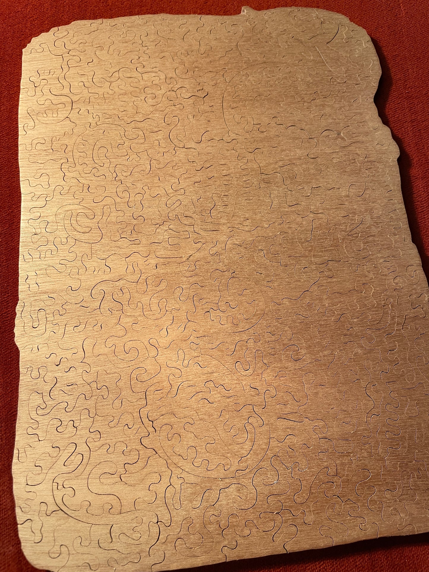 Cameleon / Encre 5 - Ink 5