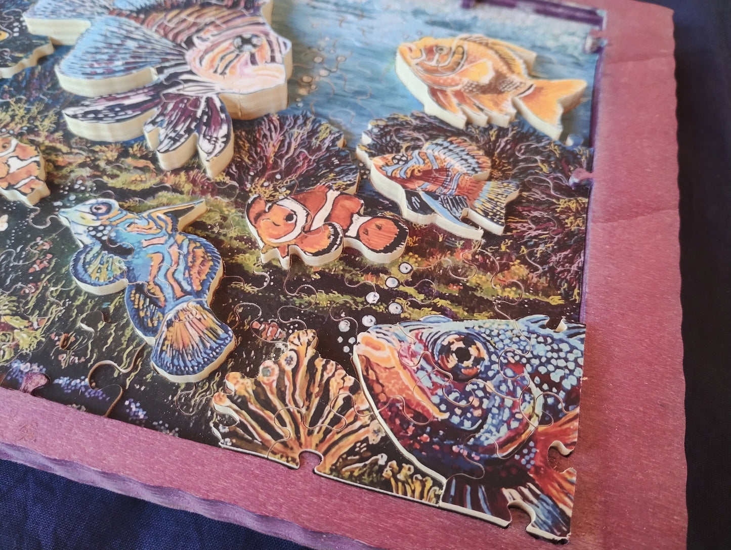 Reef Life