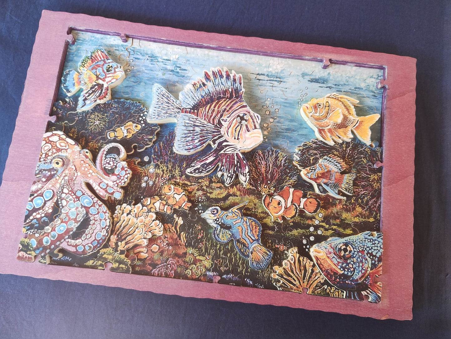 Reef Life