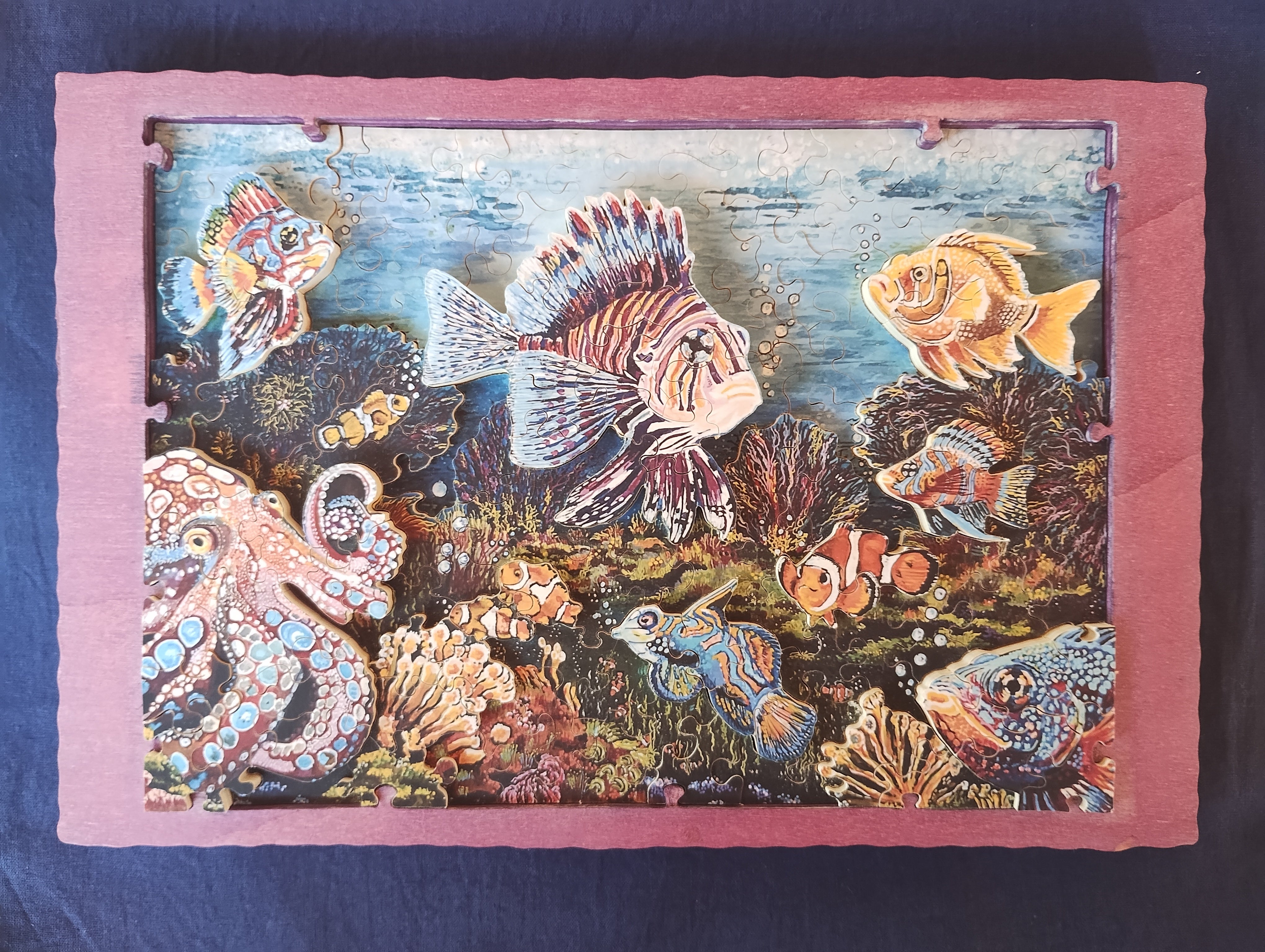 Puzzles ready for a new home – Puzzlapy - Hummingbird Unique