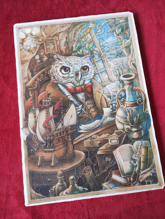 Owl Study