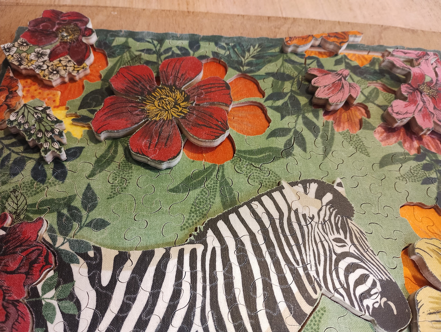 Zebra in the Garden