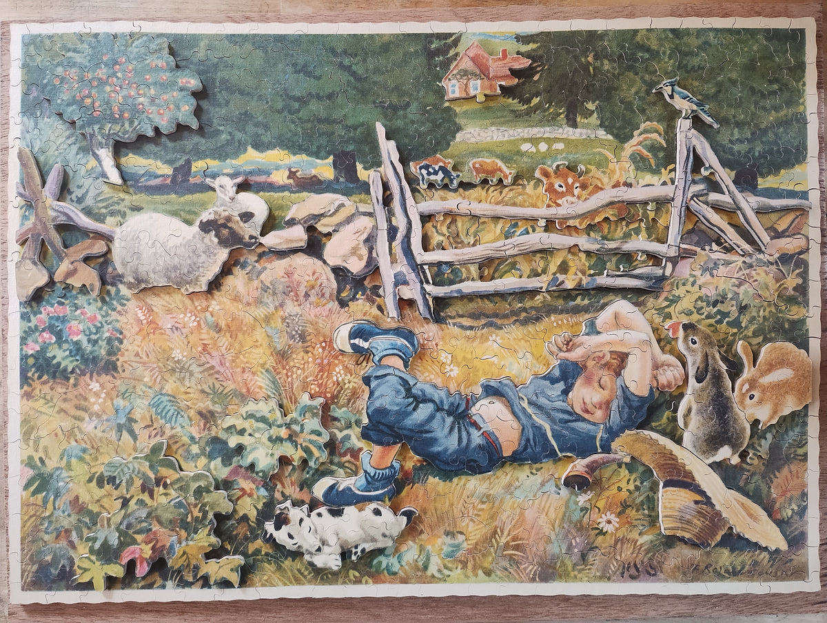 Nap time in the field