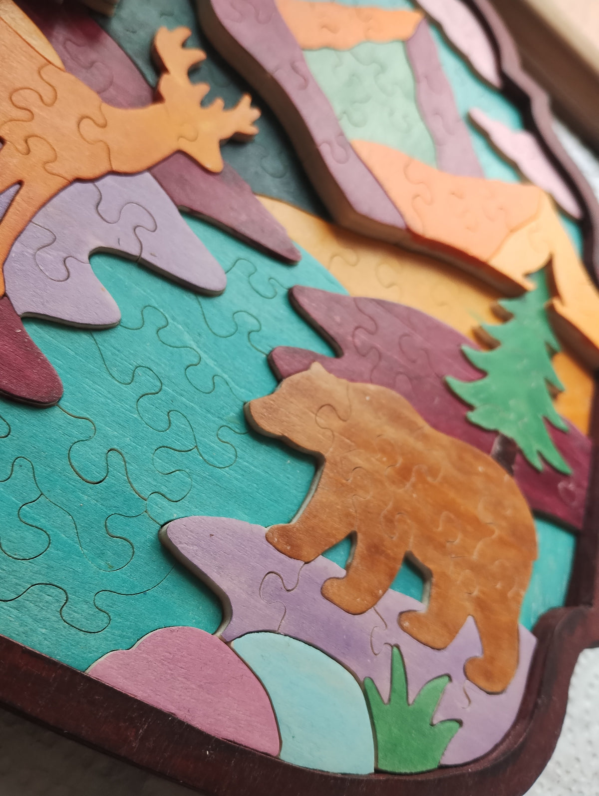 Colorful Forest Scenes