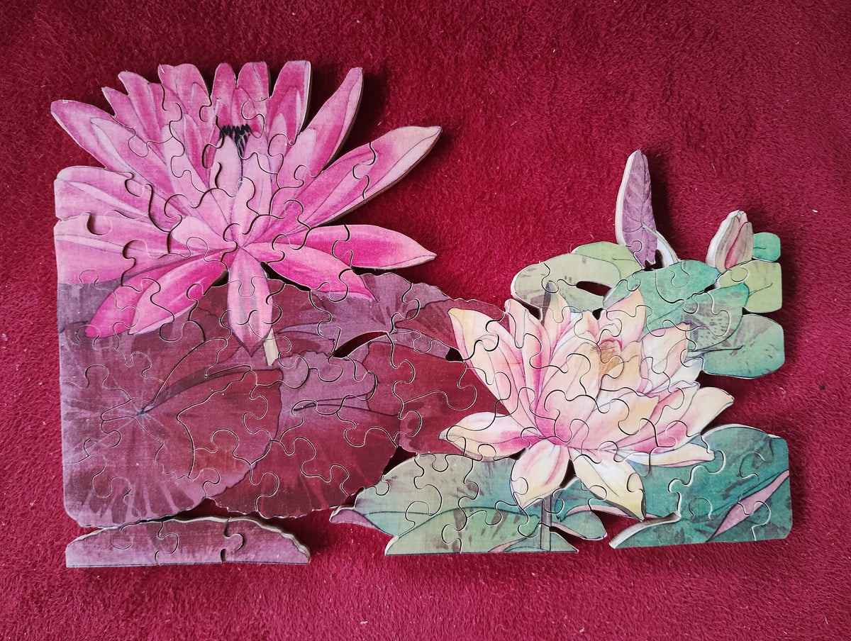 Lotus Flowers