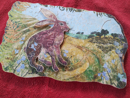 Hare in the Field