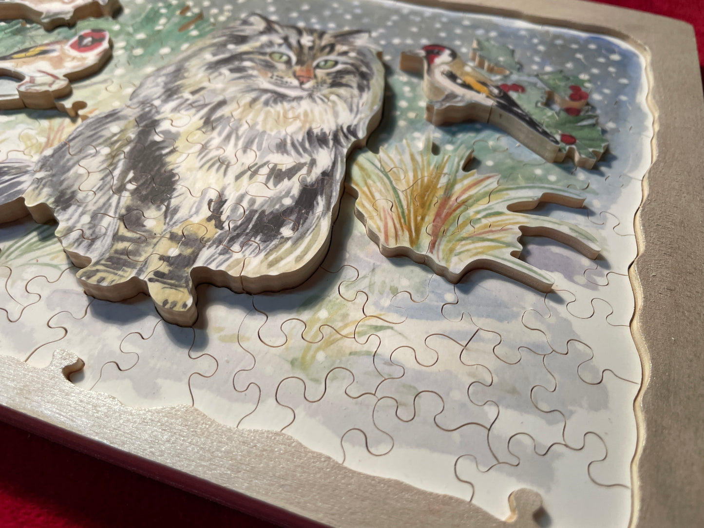 Chardonneret in Winter