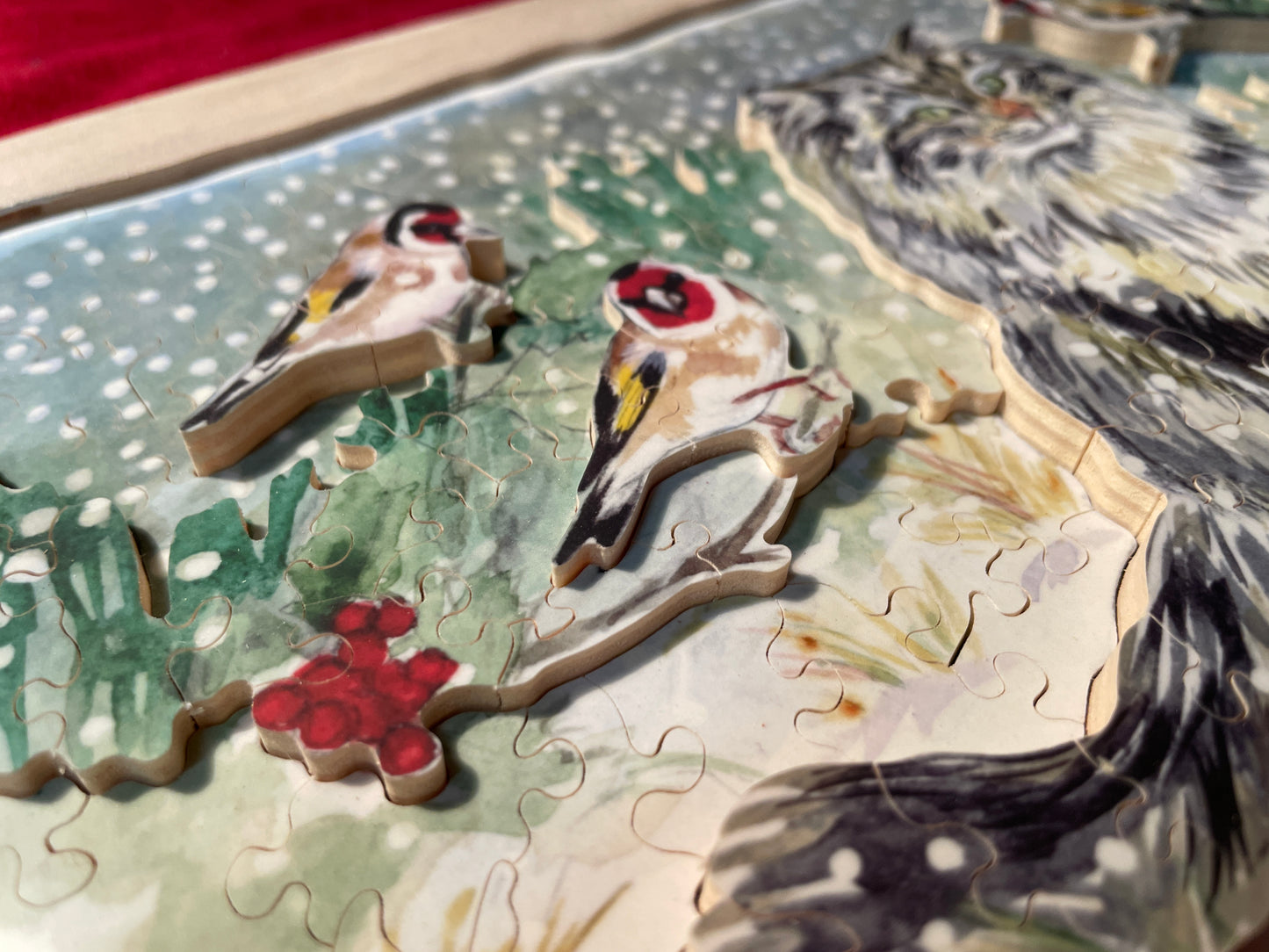 Chardonneret in Winter