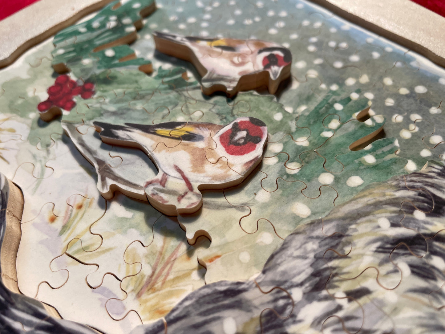 Chardonneret in Winter