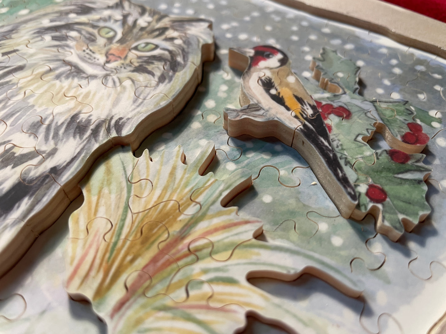 Chardonneret in Winter